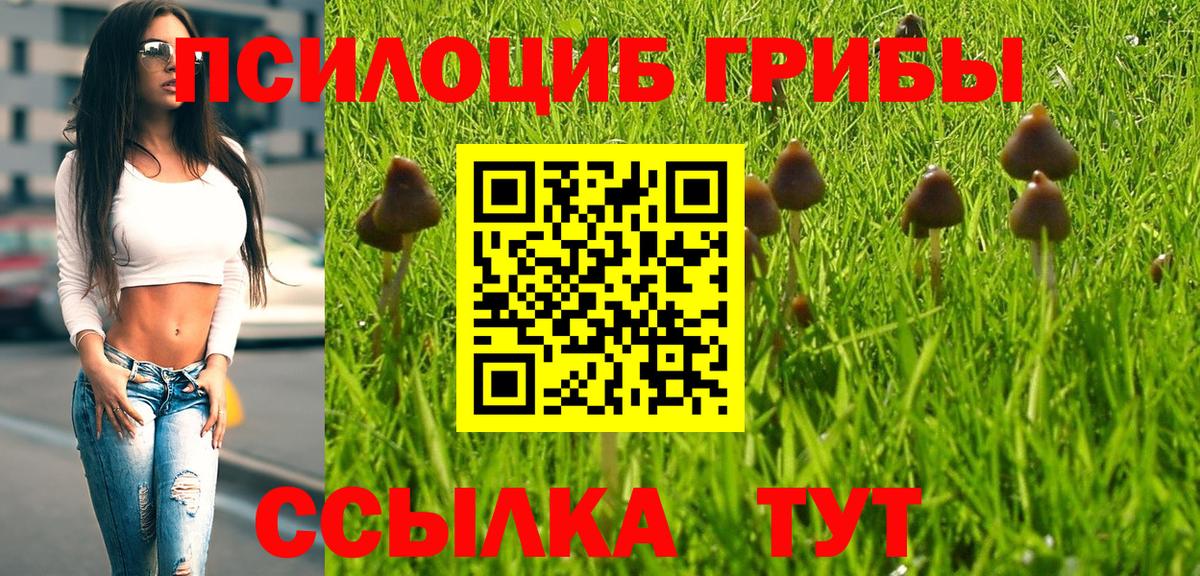 Новочеркасск  Псилоцибиновые грибы прущие грибы  Вход с VPN 
