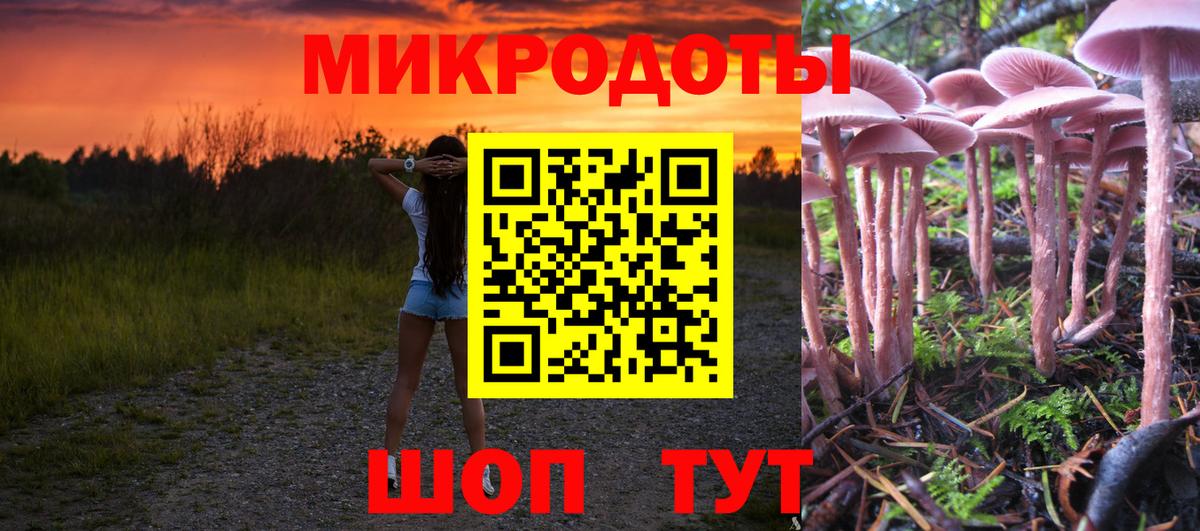 Галлюциногенные грибы Psilocybine cubensis Новочеркасск